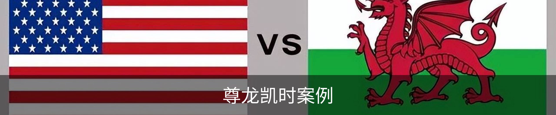 尊龙凯时案例